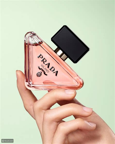 dillard's prada cologne|prada paradoxe perfume.